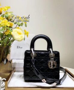 Túi xách Dior lady 5 ô siêu cấp - DL0023