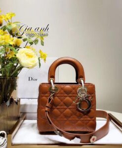 Túi xách Dior lady 5 ô siêu cấp - DL0024