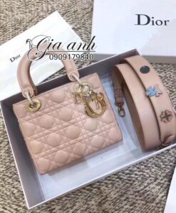 Túi xách Dior lady 5 ô siêu cấp - DL0032