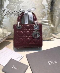 Túi Xách Dior mini - DL0040
