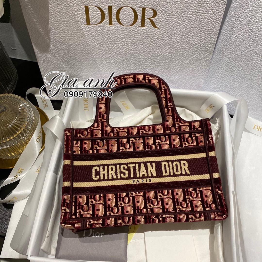 Túi xách Dior Book Tote Mini Vip