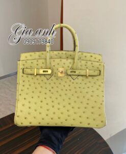 Túi Hermes Birkin Da Đà Điểu Like Auth