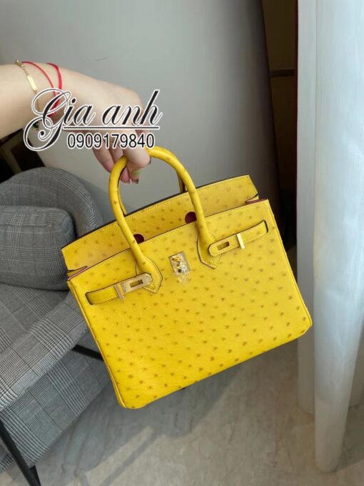 Túi Hermes Birkin Da Đà Điểu May Tay