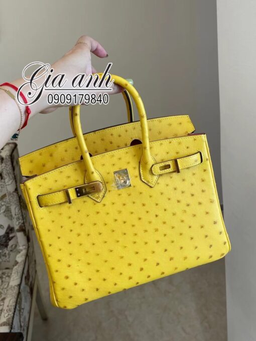 Túi Hermes Birkin Da Đà Điểu May Tay