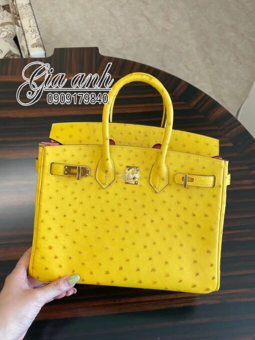 Túi Hermes Birkin Da Đà Điểu May Tay