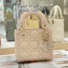 Túi Dior Lady Micro Like Authentic