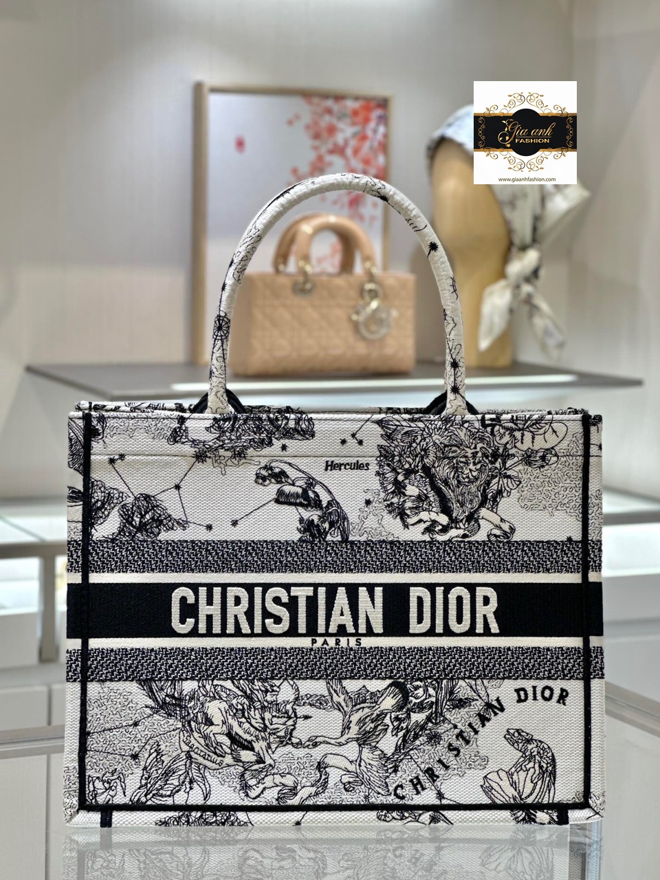 Túi xách Dior Super Da Rắn  Chuyên Túi Dior Hàng Hiệu Giá Tốt Nhất VN