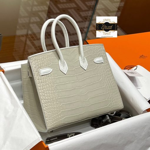 Túi Hermes Birkin 20 cm Màu Craie Vip