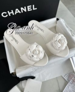 Những Mẫu Giày Chanel Nữ Đẹp 2024