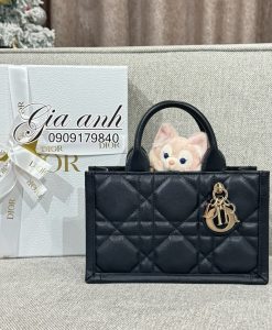 Túi Dior mini BookTote 21.5 cm new 2024