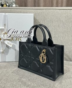 Túi Dior mini BookTote 21.5 cm new 2024