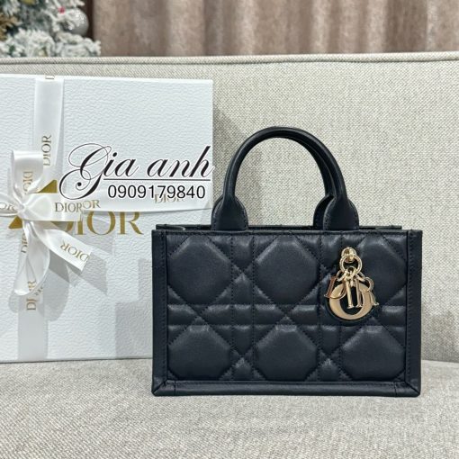 Túi Dior mini BookTote 21.5 cm new 2024