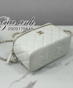 Túi Xách Chanel Large Vanity Top Handle Vip