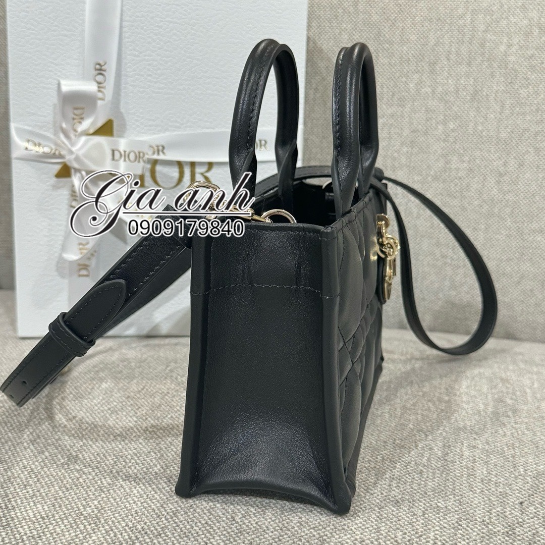 Túi Dior mini BookTote 21.5 cm new 2024