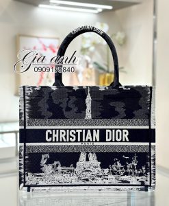 Túi Dior Book Tote Họa Tiết Paris Vip