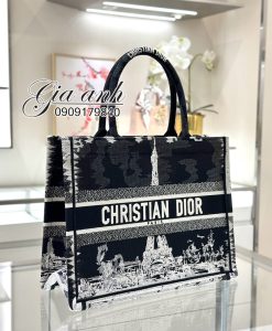 Túi Dior Book Tote Họa Tiết Paris Vip