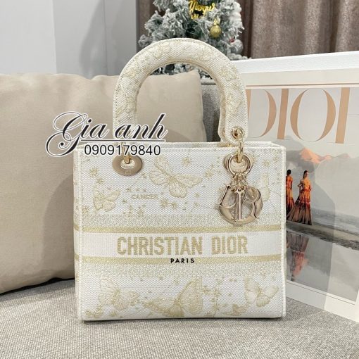 Những Mẫu Túi Dior Mới Nhất 2024