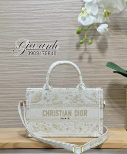 Những Mẫu Túi Dior Mới Nhất 2024