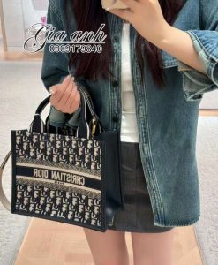 Shop Bán Túi Xách Dior Tote Chuẩn Auth