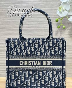 Những Họa Tiết Túi Dior Tote 25 cm Đẹp