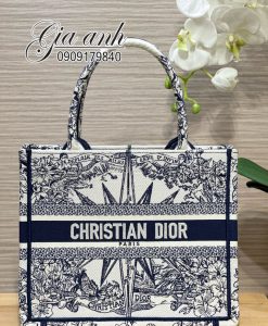 Những Họa Tiết Túi Dior Tote 25 cm Đẹp