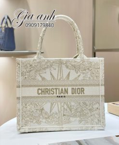 Những Họa Tiết Túi Dior Tote 25 cm Đẹp