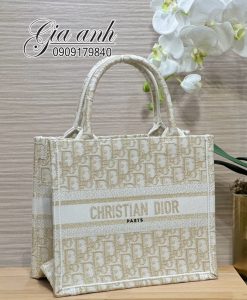 Những Họa Tiết Túi Dior Tote 25 cm Đẹp