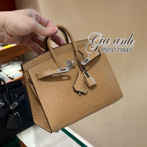 Túi Hermes Birkin 20 cm Crocodile