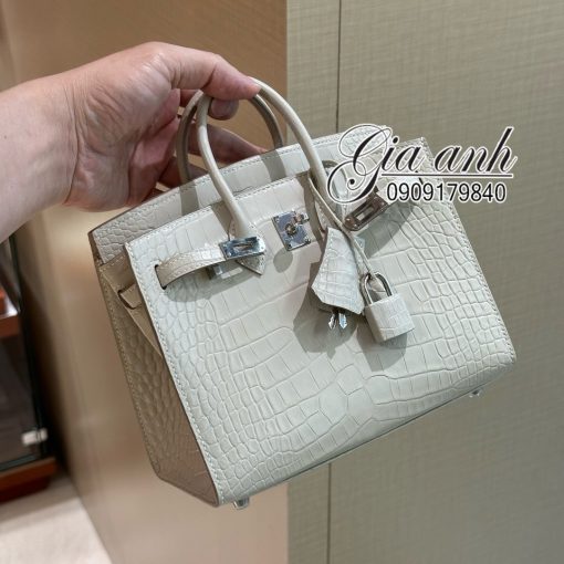 Túi Hermes Birkin 20 cm Crocodile