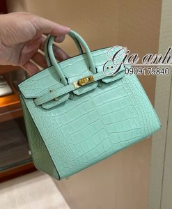 Túi Hermes Birkin 20 cm Crocodile