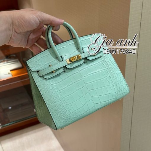 Túi Hermes Birkin 20 cm Crocodile