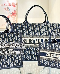 Túi Xách Dior Tote Siêu Cấp Vip New 2024