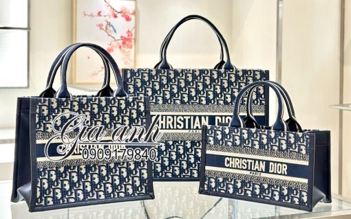 Túi Xách Dior Tote Siêu Cấp Vip New 2024