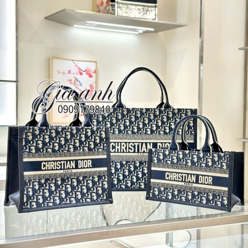 Túi Xách Dior Tote Siêu Cấp Vip New 2024