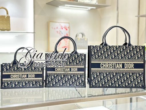 Túi Xách Dior Tote Siêu Cấp Vip New 2024