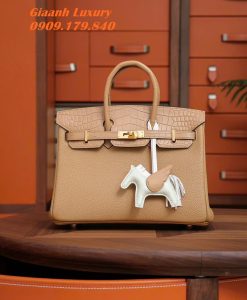 Túi Hermes Birkin Touch May Tay 01