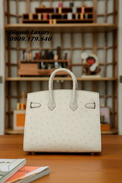 Túi Xách HM Birkin Da Đà Điểu Chuẩn Auth 01