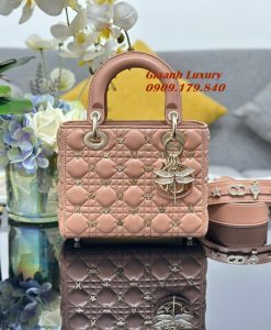 Túi Dior Lady My 20 Cm Siêu Cấp Like Auth Đính charm chuồn chuồn 05