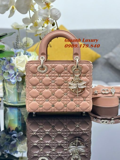 Túi Dior Lady My 20 Cm Siêu Cấp Like Auth Đính charm chuồn chuồn 05