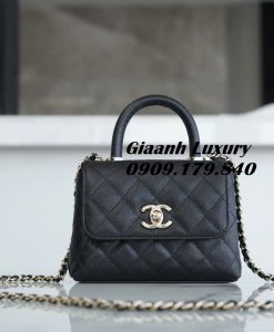 Túi Xách Chanel Coco Nano Mini Hàng Hiệu 01