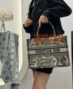 Túi Xách Dior Book Tote Siêu Cấp họa tiết báo 02