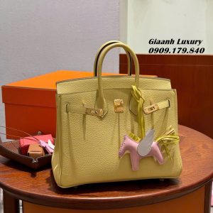 Những Màu Túi Xách Hermes Birkin Bán Chạy 02