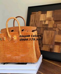 Những Màu Túi Hermes Birkin Da Cá Sấu Đẹp Vip