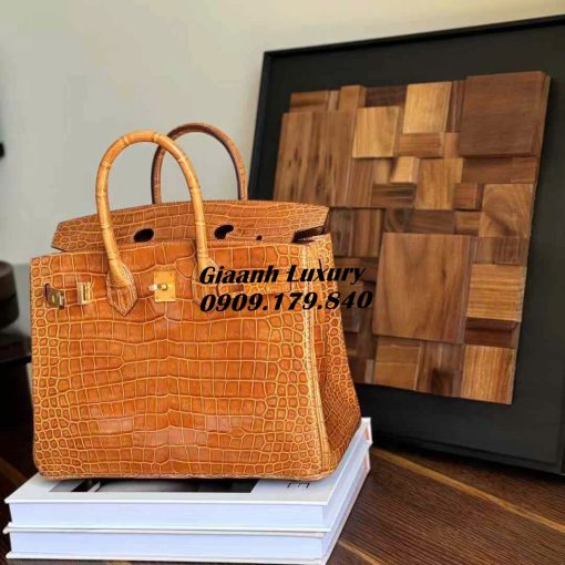 Những Màu Túi Hermes Birkin Da Cá Sấu Đẹp Vip