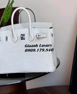 Những Màu Túi Hermes Birkin Da Cá Sấu Mix Hai Màu Trắng 05