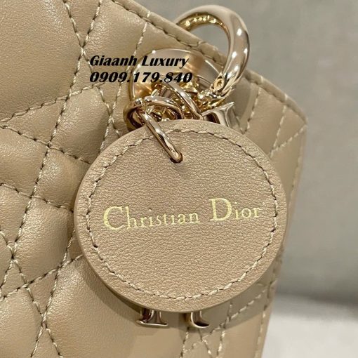 Túi Dior D Joy 16 cm Màu Cà phê Sữa Luxury vip