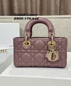 Túi Dior Micro lady D joy size nhỏ Vip 16 cm 01