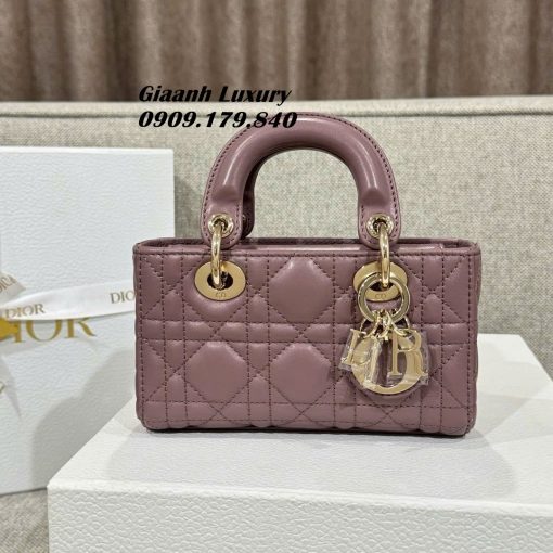 Túi Dior Micro lady D joy size nhỏ Vip 16 cm 01