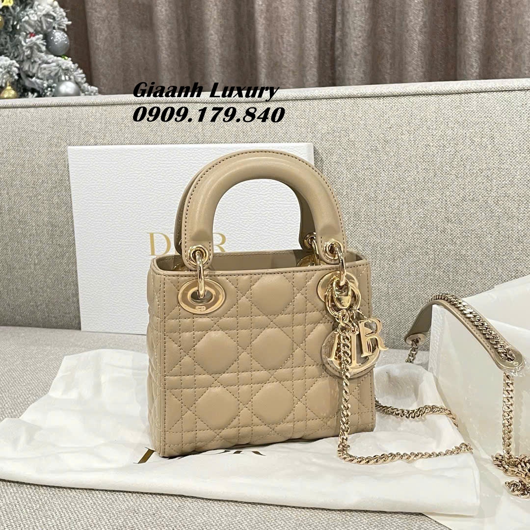 Những Màu Túi Dior Lady Mini Like Authentic Hàng Hiệu