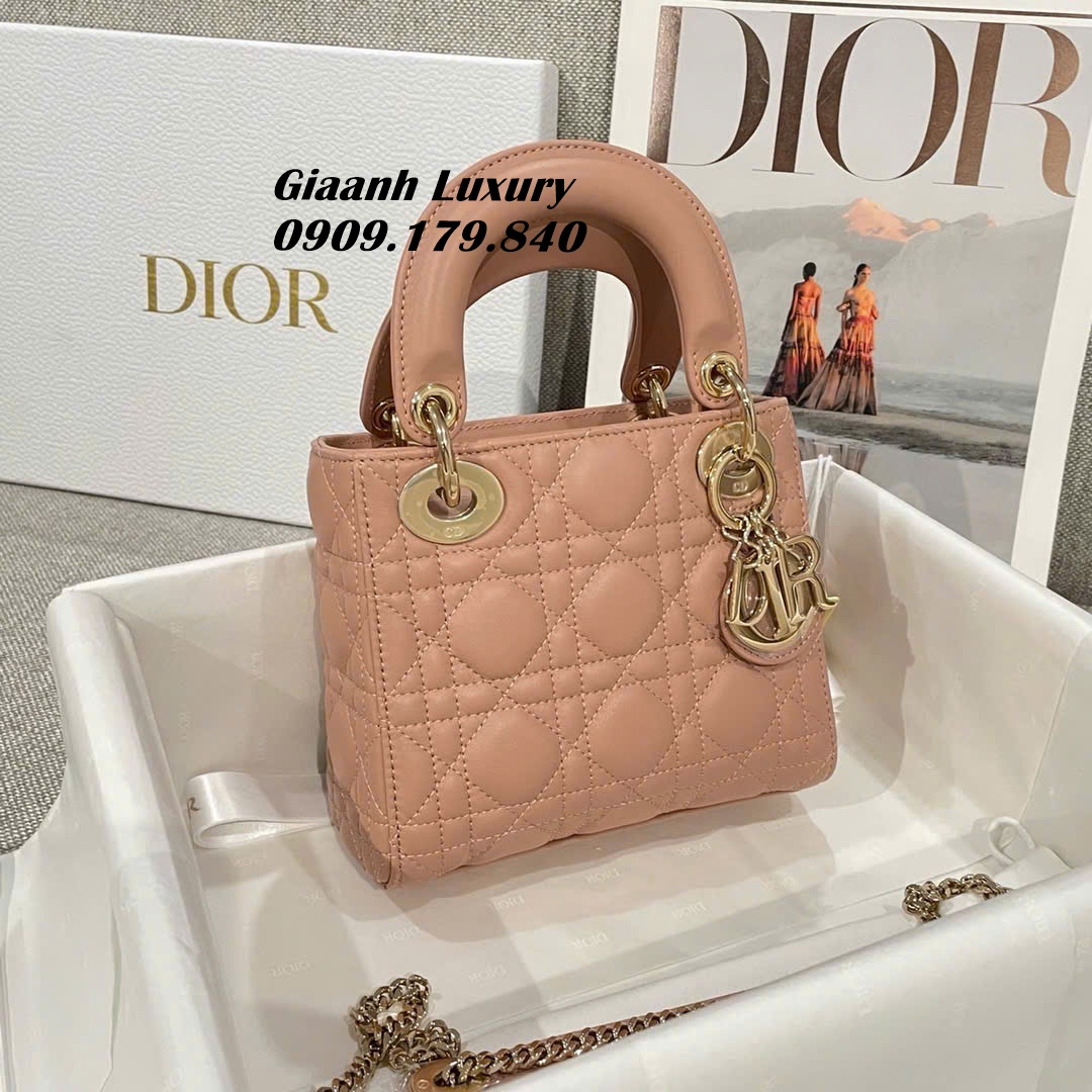 Những Màu Túi Dior Lady Mini Like Authentic Hàng Hiệu 5 màu da